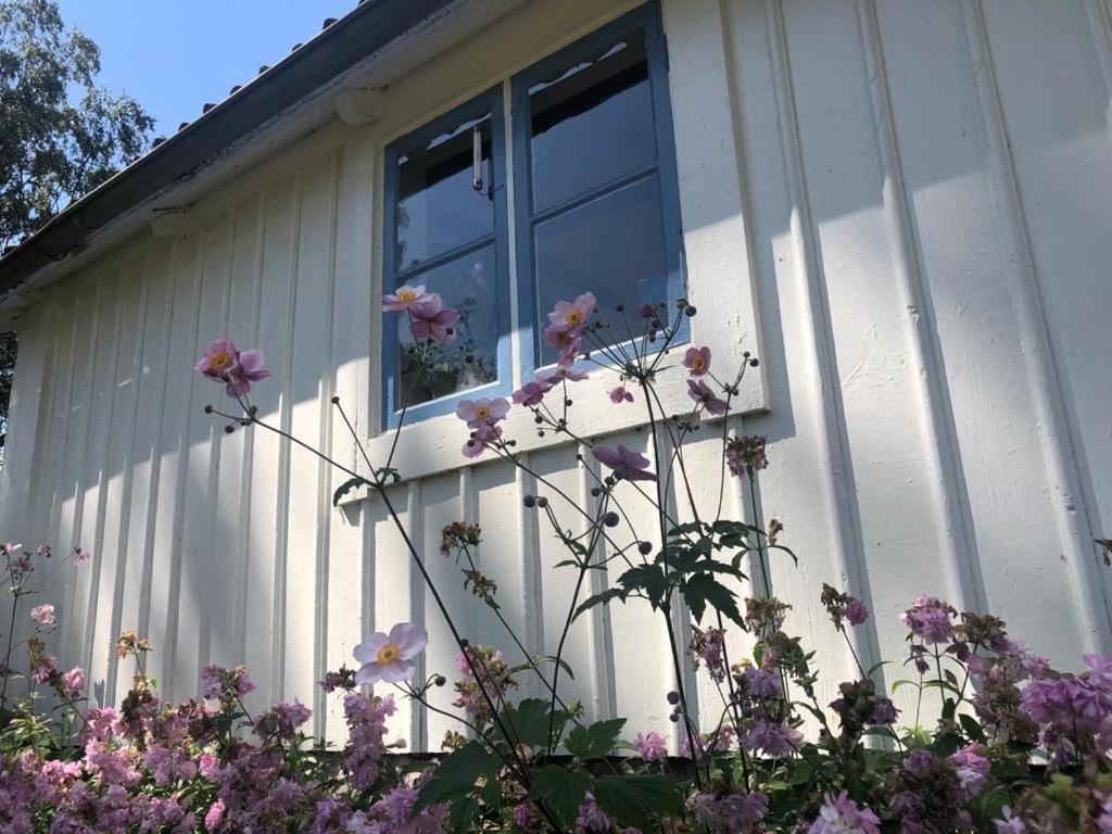 Seaside Cottage Haga Park Frobygarda Kültér fotó